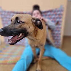 Thumbnail photo of Timmy #2