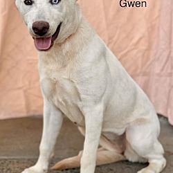 Photo of Gwen