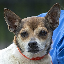 Photo of Lizzie-Needs your love!