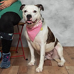 Photo of Sasha