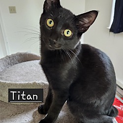 Thumbnail photo of Titan #2