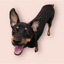 Photo of ALFIE