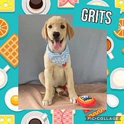 Photo of Grits