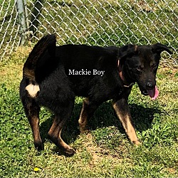 Thumbnail photo of Mackie Boy #4