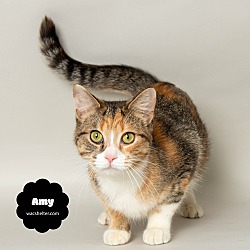 Photo of AMY (Super Affectionate)