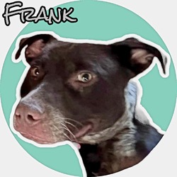 Photo of Frank