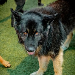 Thumbnail photo of SWEENEY-A2146809 #4