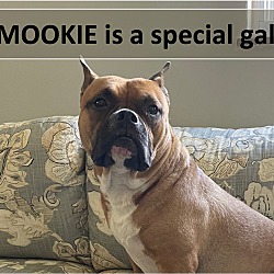 Thumbnail photo of Mookie #1