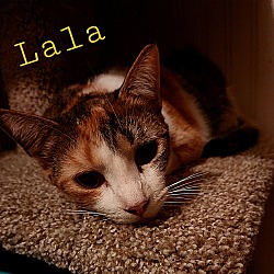 Thumbnail photo of LaLa #4
