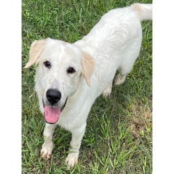 Photo of POLAR