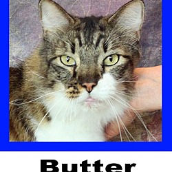 Thumbnail photo of Butter #1