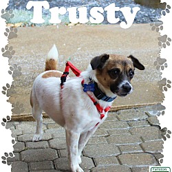 Thumbnail photo of Trusty #1