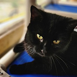 Photo of Maggie