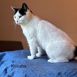 Thumbnail photo of Keesha #1