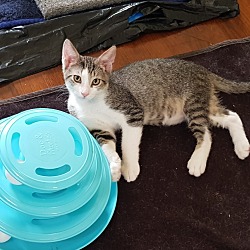 Photo of Frankie