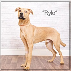 Photo of Rylo
