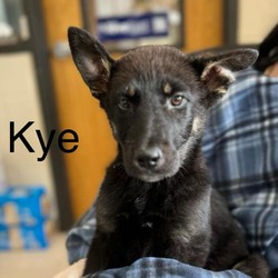 Photo of Kye