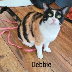 Thumbnail photo of Debbie #1