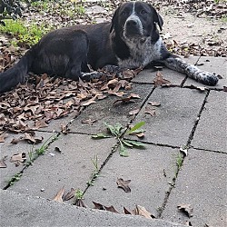 Photo of Luna Pearl