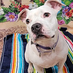 Photo of Penelope