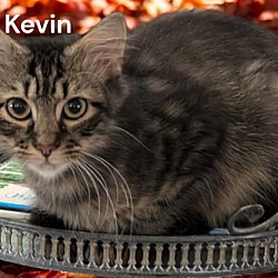 Thumbnail photo of Kevin #1