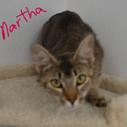Photo of Martha