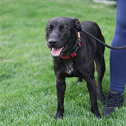 Thumbnail photo of Murphy #4