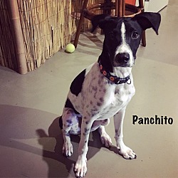 Photo of Panchito