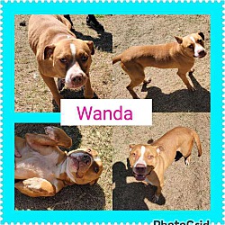 Photo of Wanda [Extended Euth]