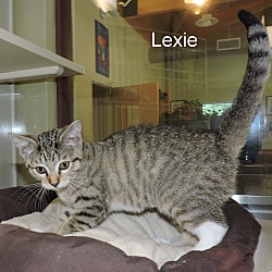 Thumbnail photo of Lexie #3