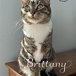Thumbnail photo of Brittany #1