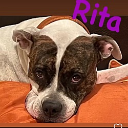 Photo of Rita