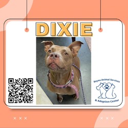 Thumbnail photo of Dixie #2