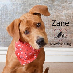 Thumbnail photo of Zane #1