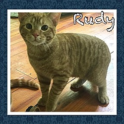 Thumbnail photo of Rusty, Dusty & Rudy #3