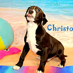 Thumbnail photo of Christo ~ meet me! #1