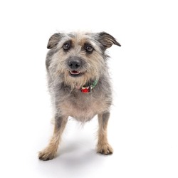 Photo of Miss Bear