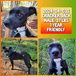 Photo of 2024-04-035 *Cracker Jack*