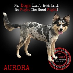 Thumbnail photo of Aurora 4255 #1