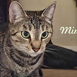 Thumbnail photo of Mimi #4