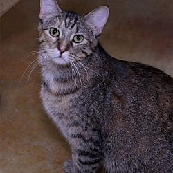 Thumbnail photo of Lori #1
