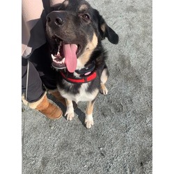 Photo of TUCKER