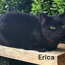 Thumbnail photo of Erica #2