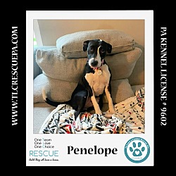 Thumbnail photo of Penelope 080324 #4