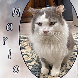 Photo of Marlo