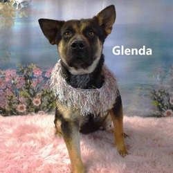 Thumbnail photo of Glenda #1