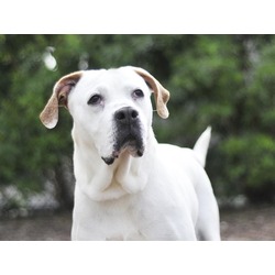 Photo of BEANIE