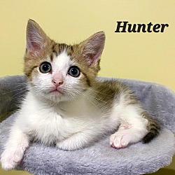 Photo of Hunter