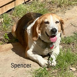 Photo of Spencer