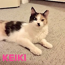 Photo of Keiki